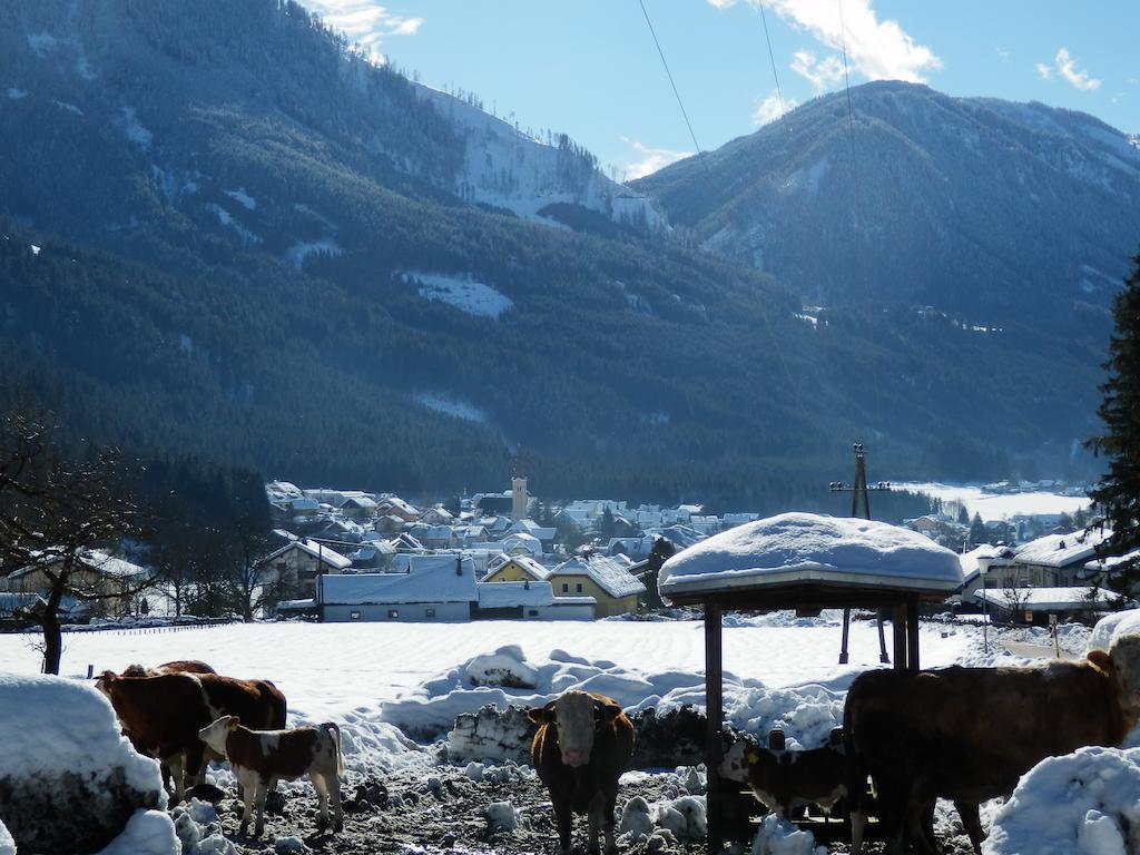 Appartamento Ferienhaus Maier Lind Esterno foto